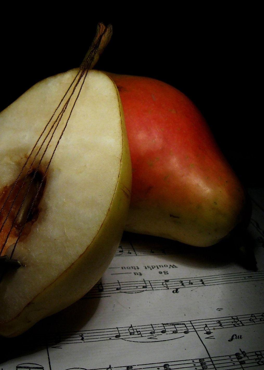 still life: постер из коллекции World Class Photos