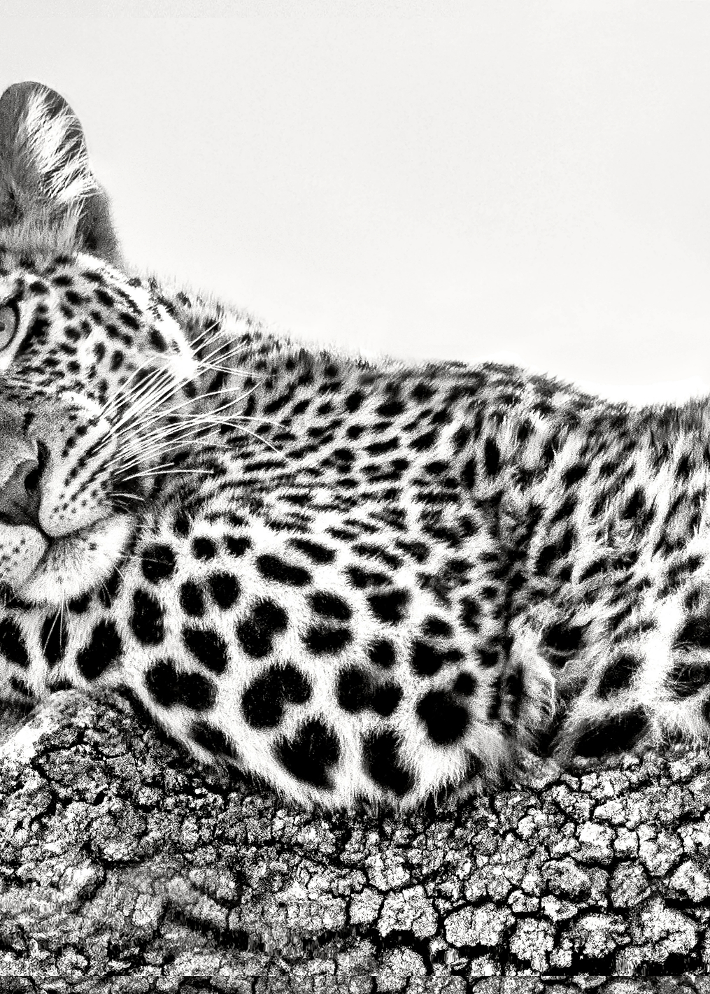 Time to rest: постер из коллекции World Class Photos
