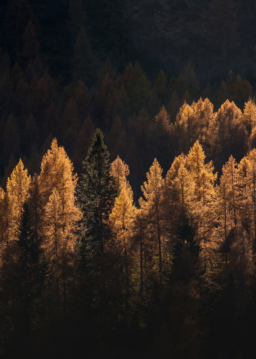 light for a few: постер из коллекции World Class Photos