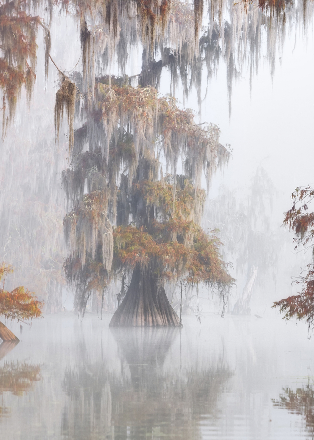 Mysty Bayou: постер из коллекции World Class Photos