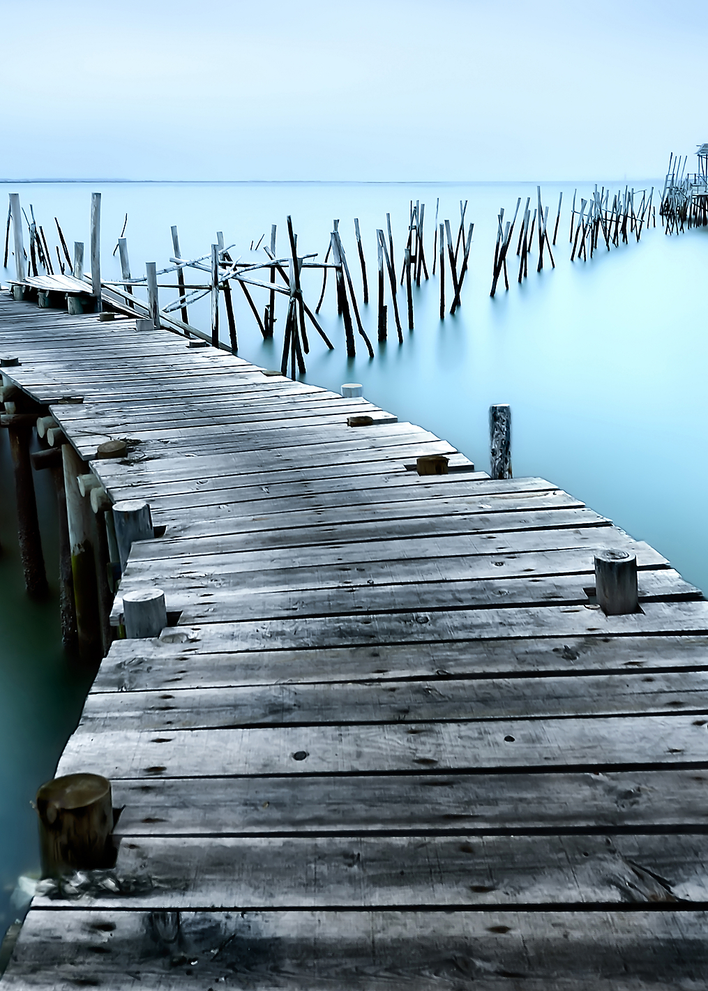 Carrasqueira II: постер из коллекции World Class Photos