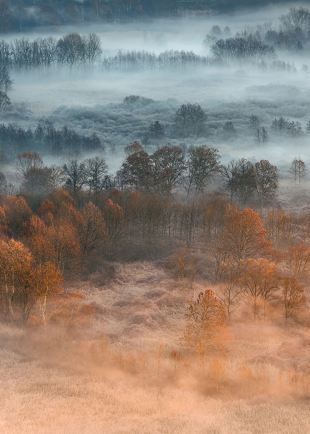 Autumnal misty dawn: постер из коллекции World Class Photos