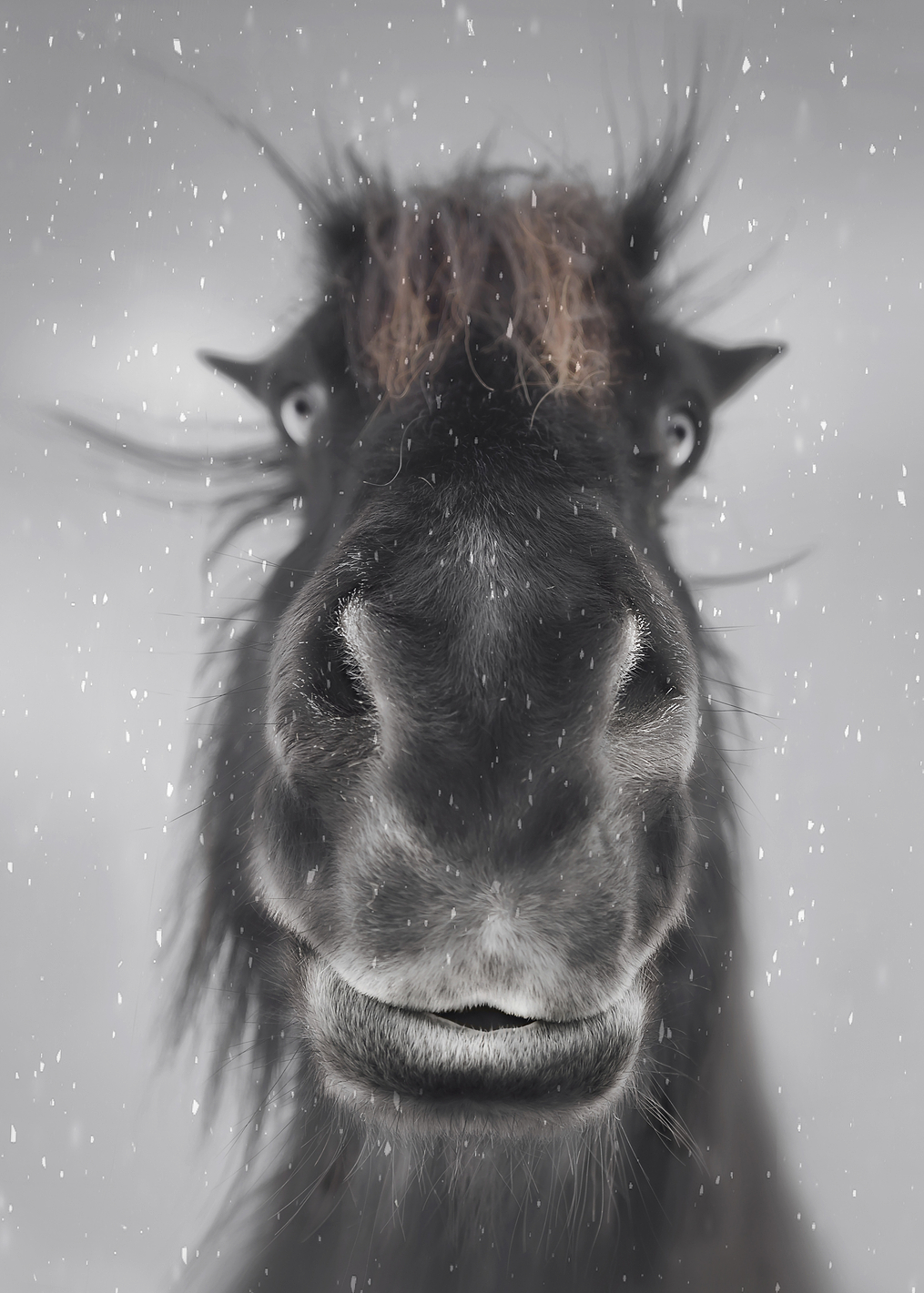 Hey: постер из коллекции World Class Photos