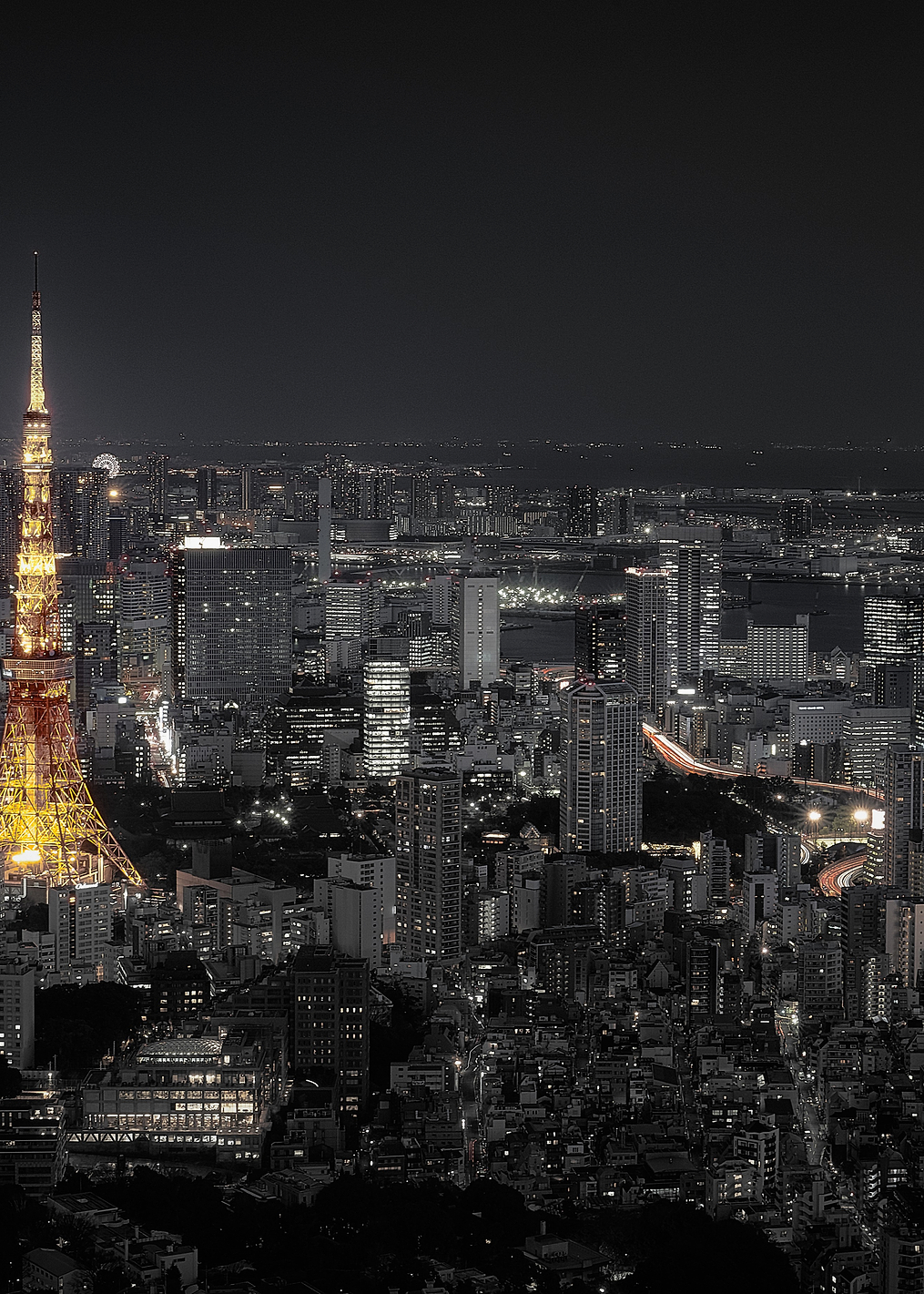 Tokyo at night: постер из коллекции World Class Photos