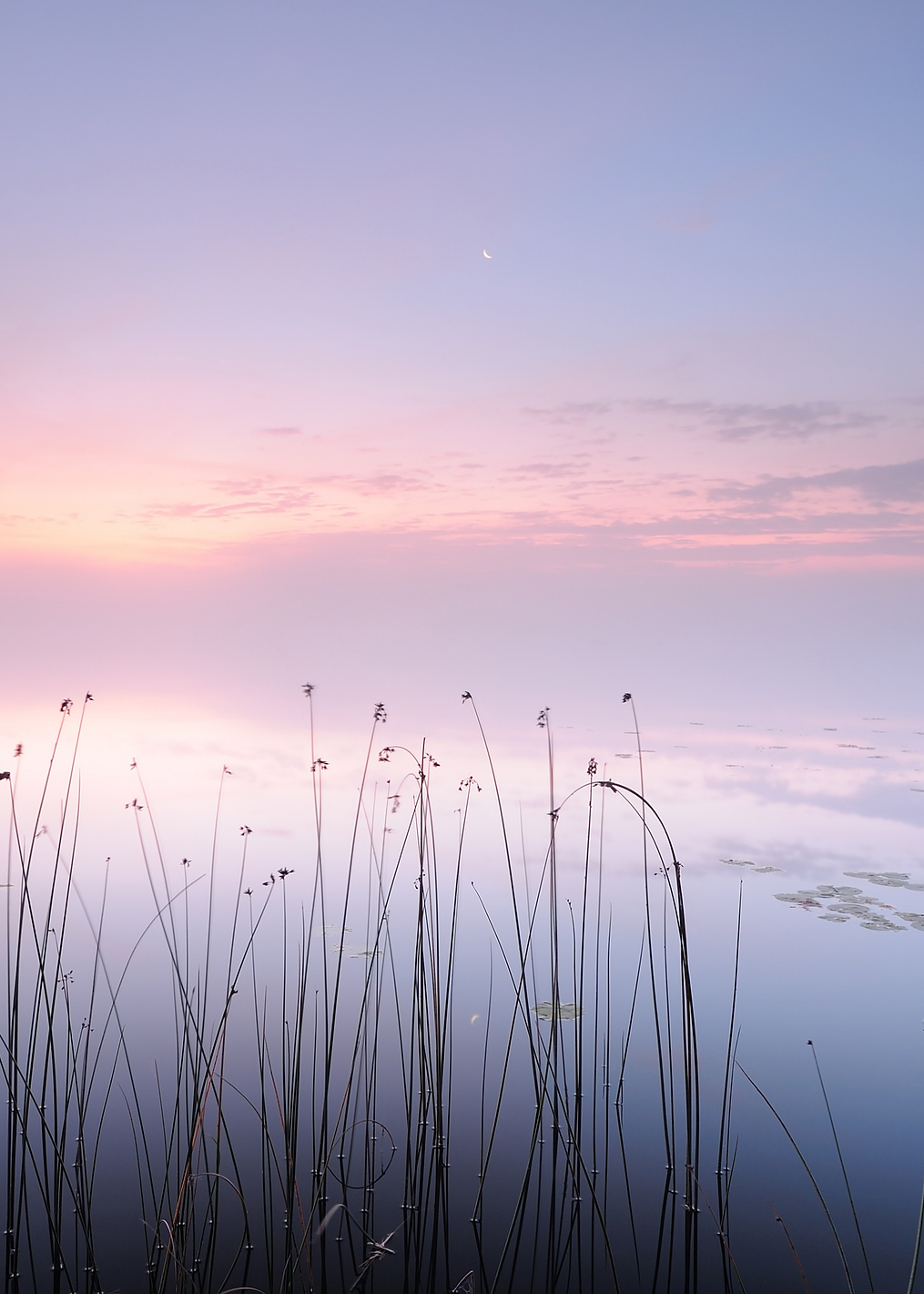 Lake: постер из коллекции World Class Photos