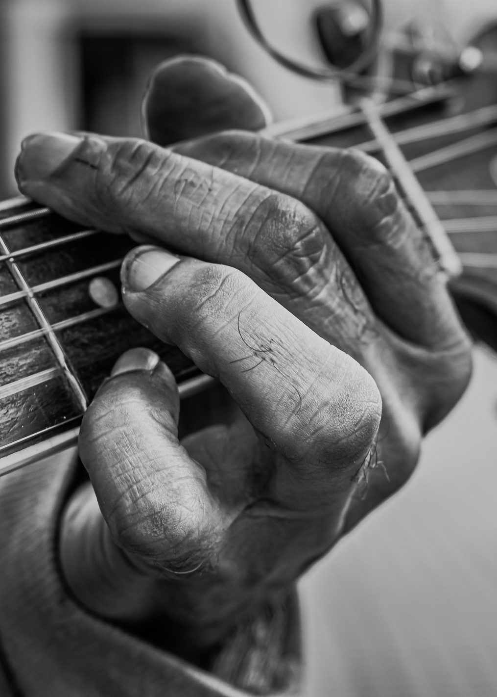 chords of life: постер из коллекции World Class Photos