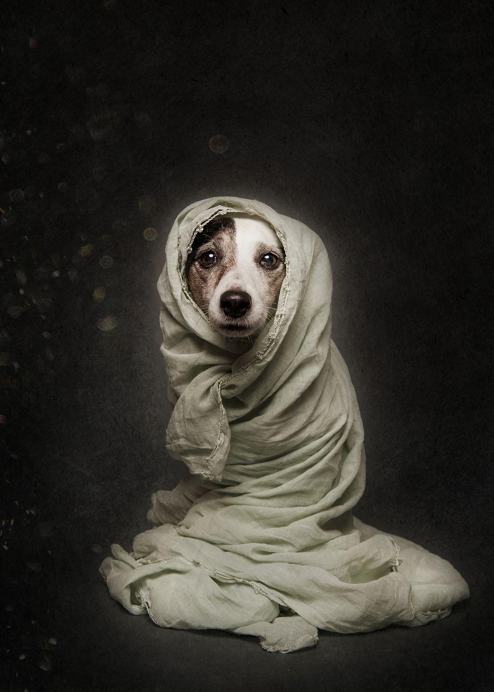 Wrapped: постер из коллекции World Class Photos