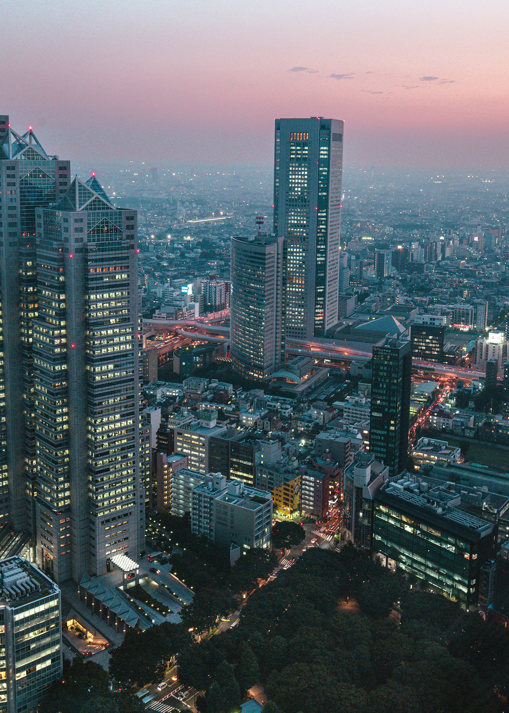 Tokyo at dusk: постер из коллекции World Class Photos