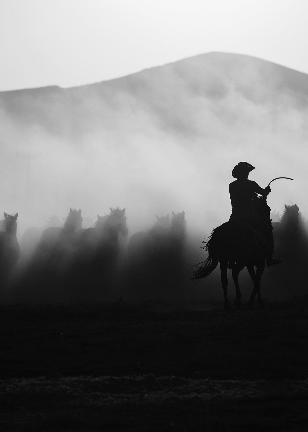 Chasing the Jades!: постер из коллекции World Class Photos