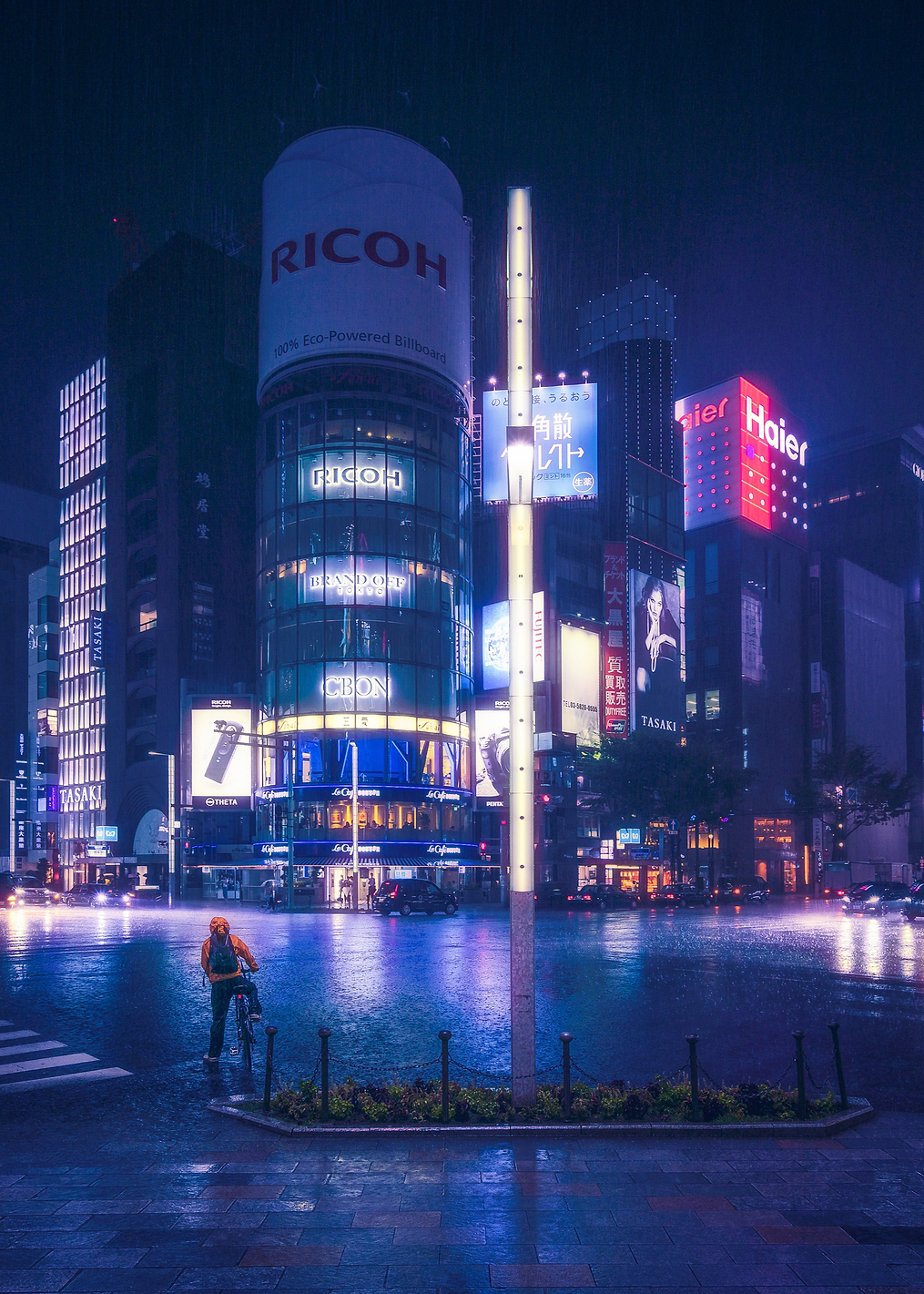 Storm over Tokyo: постер из коллекции World Class Photos