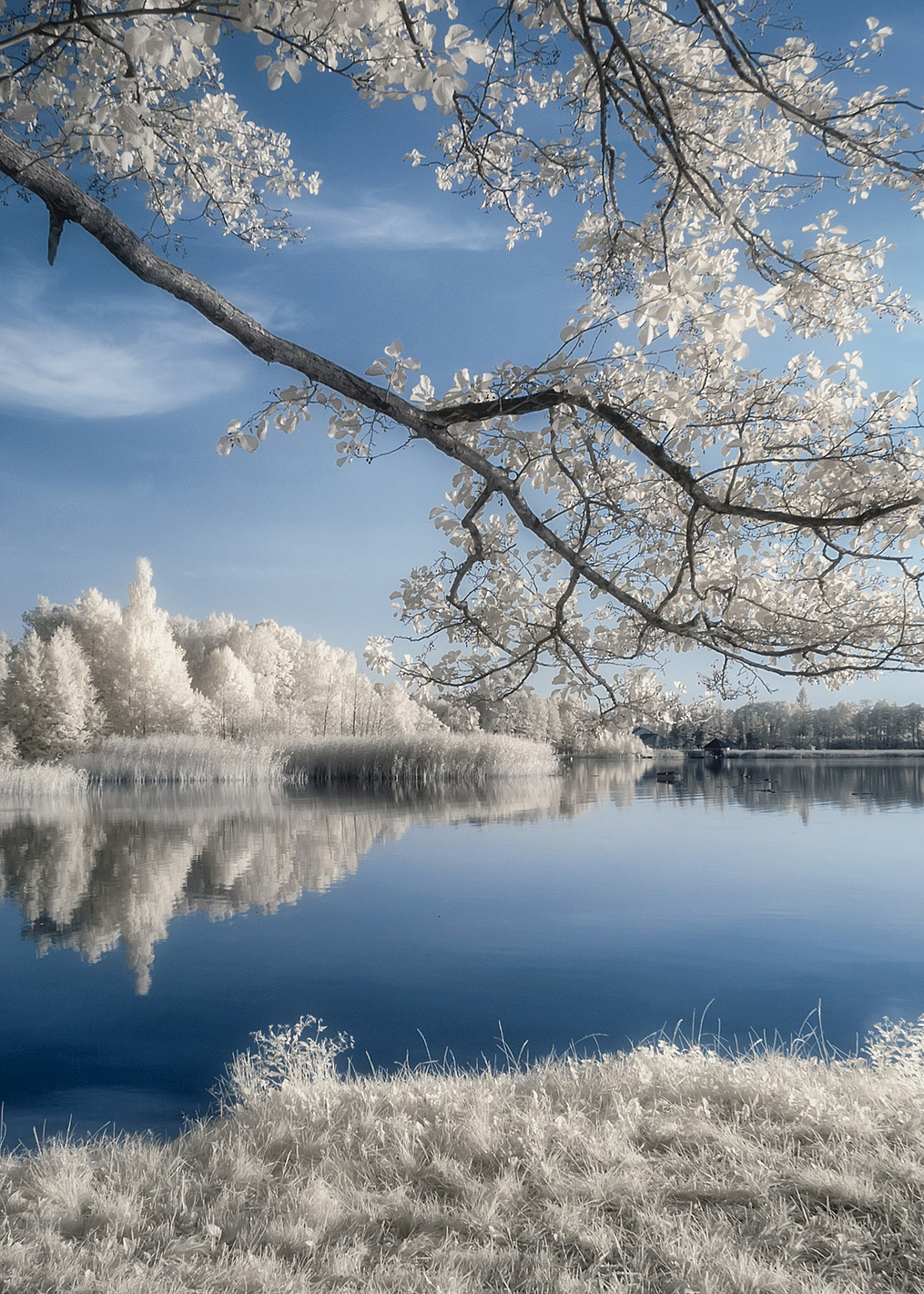 IRenkowo: постер из коллекции World Class Photos