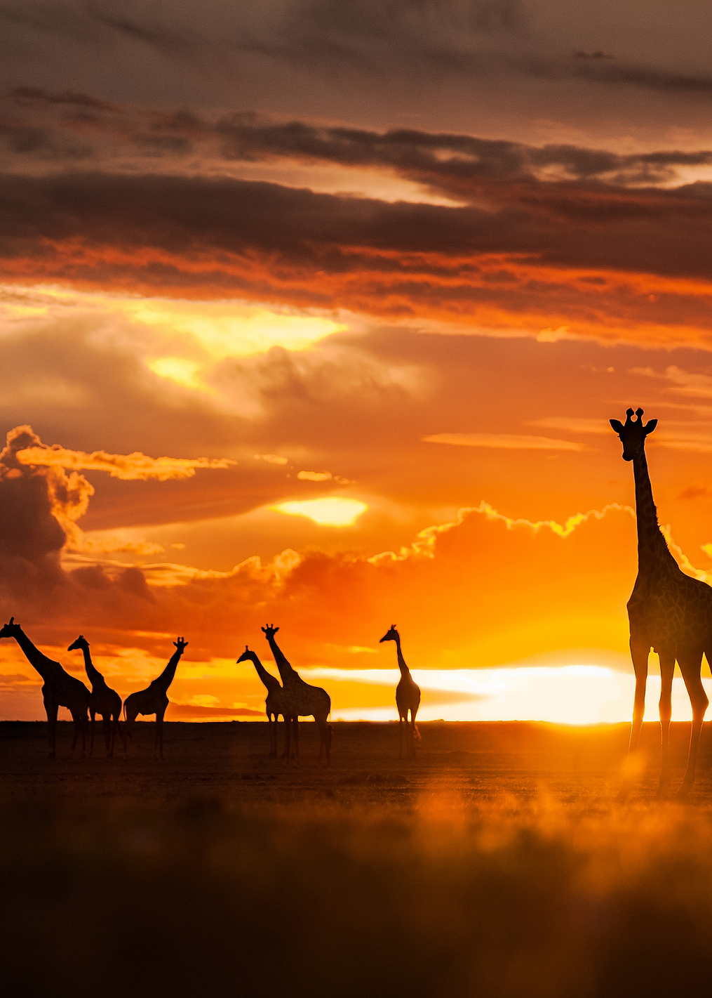 End Of The Day: постер из коллекции World Class Photos