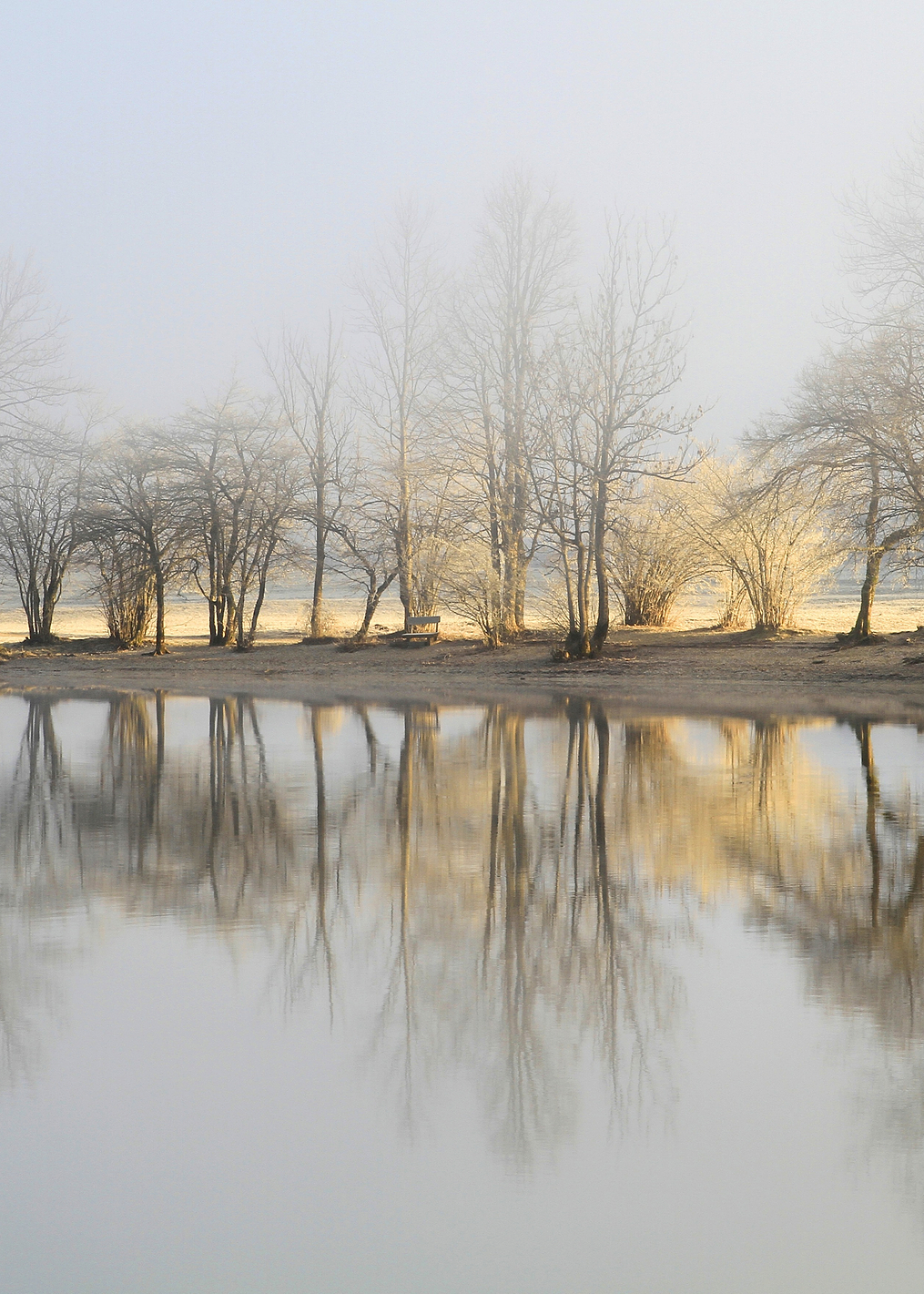 january morning: постер из коллекции World Class Photos