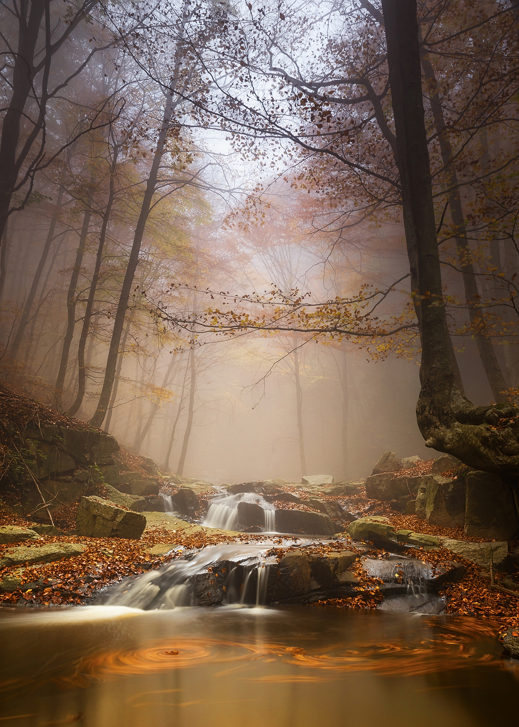 Mistyc mist: постер из коллекции World Class Photos