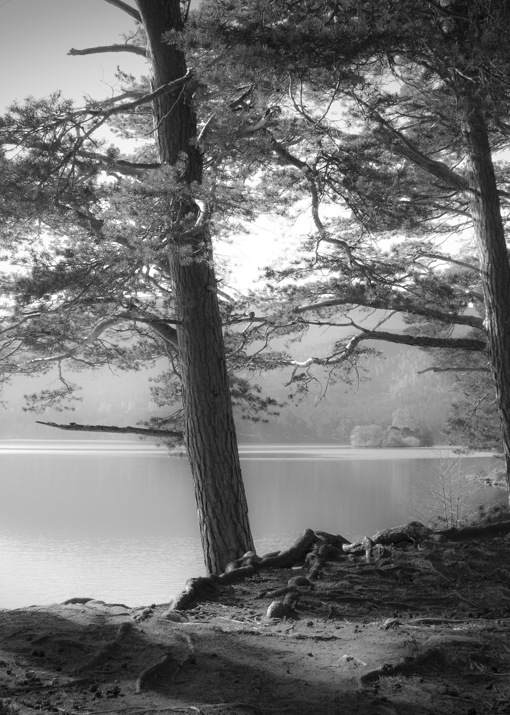 Loch an Eilein: постер из коллекции World Class Photos