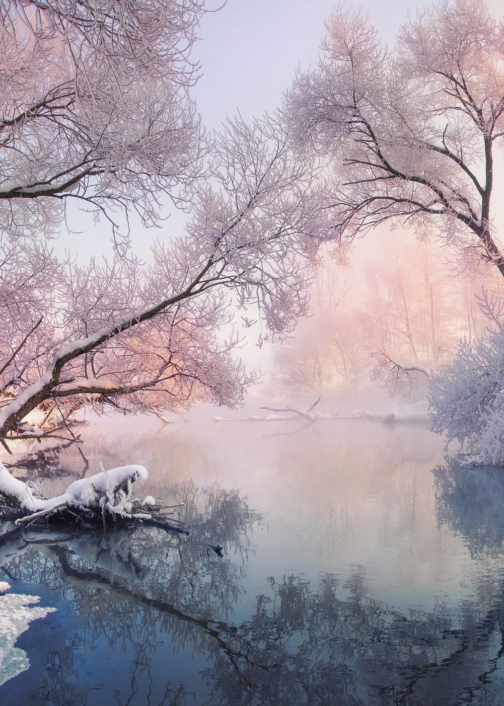 Christmas Lace: постер из коллекции World Class Photos
