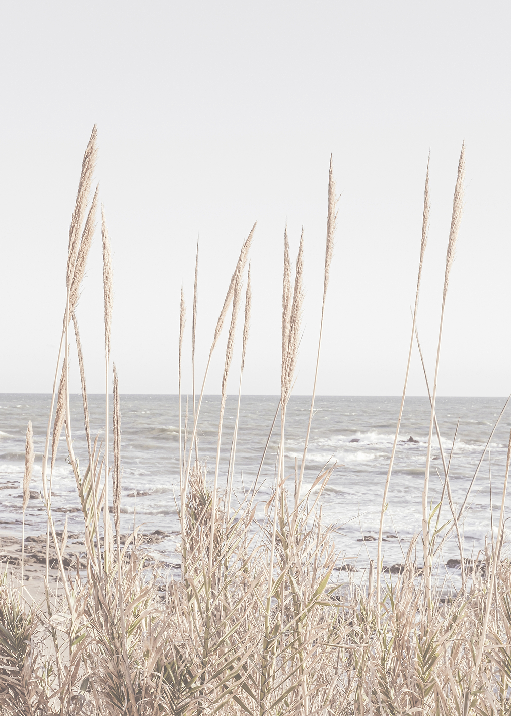 Beach_Vass_001: постер из коллекции World Class Photos