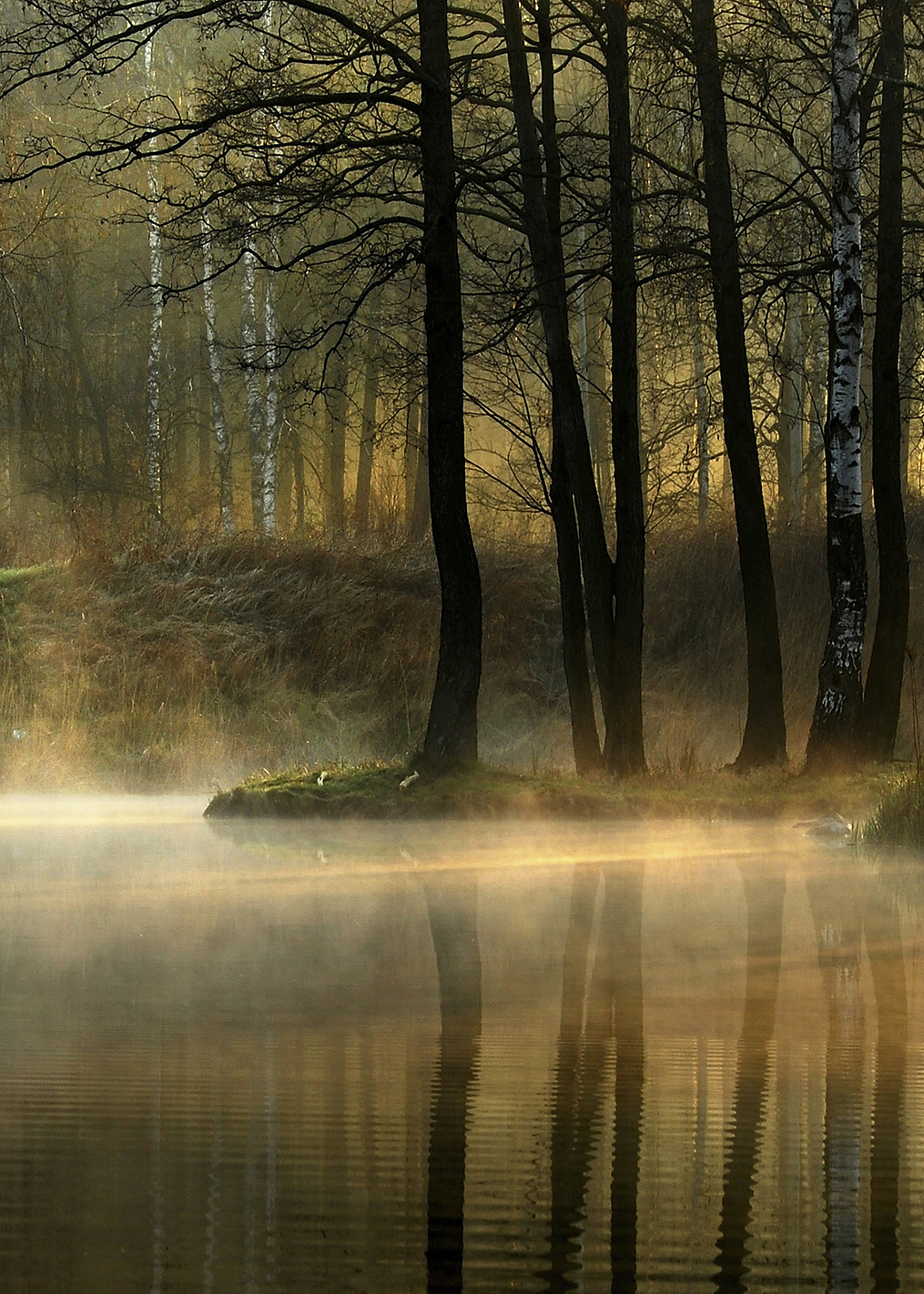 Silent light: постер из коллекции World Class Photos