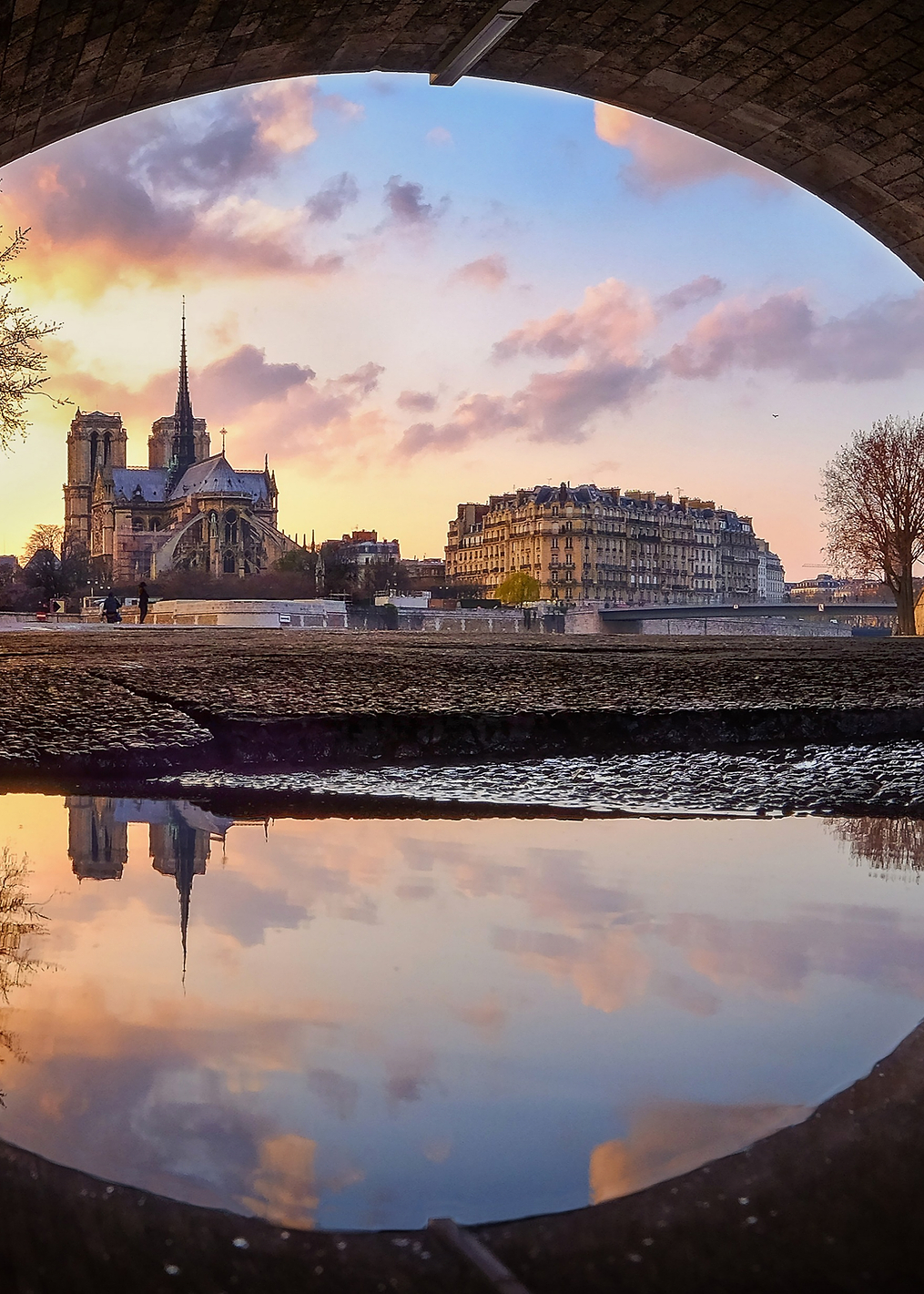 The eye: постер из коллекции World Class Photos