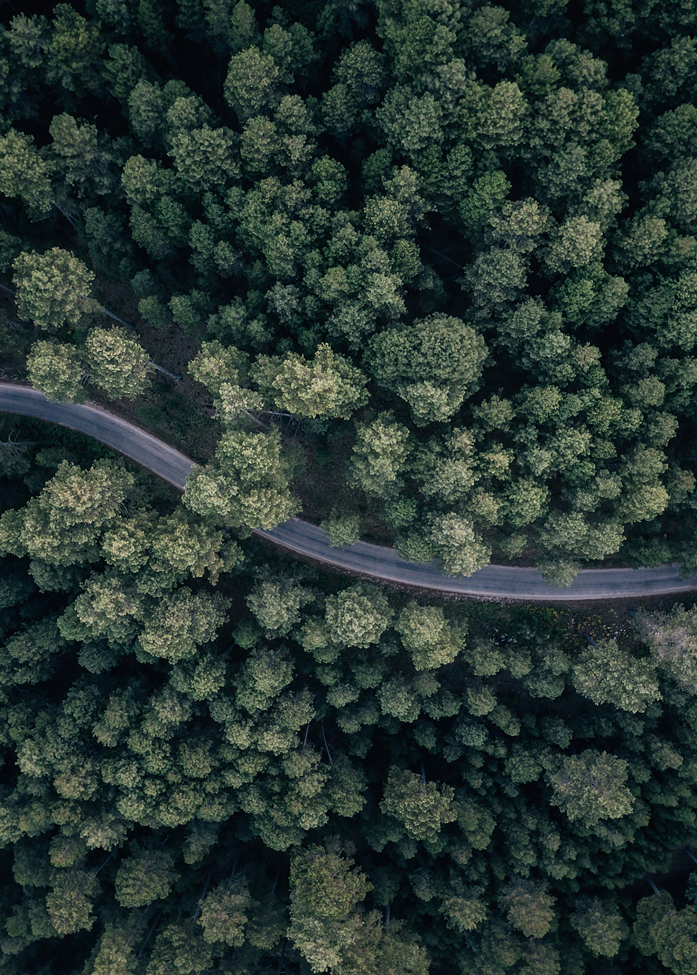 From above: постер из коллекции World Class Photos