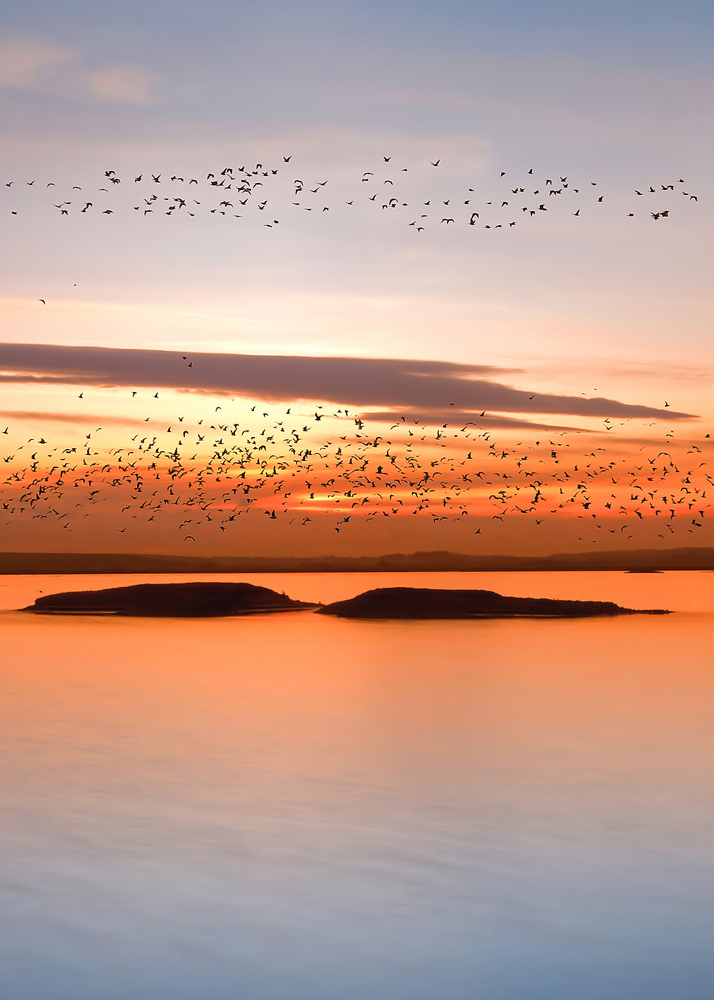 by sunset: постер из коллекции World Class Photos