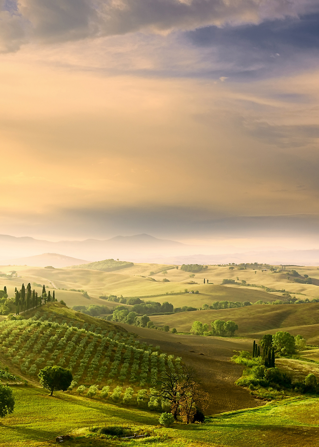 Podere Belvedere Sunrise: постер из коллекции World Class Photos