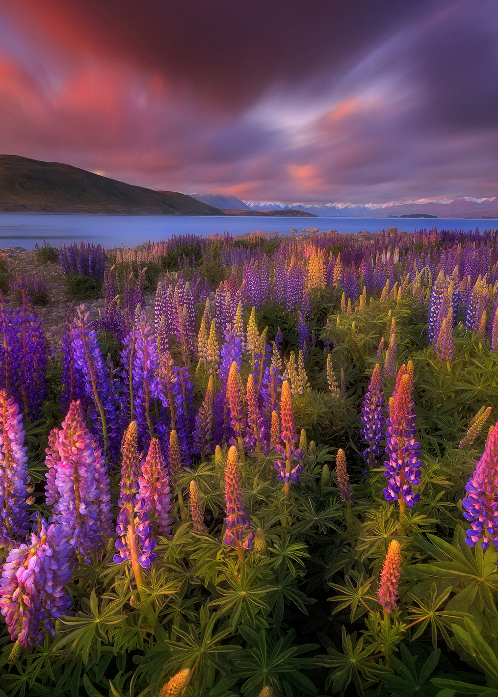 Springtime Rush: постер из коллекции World Class Photos