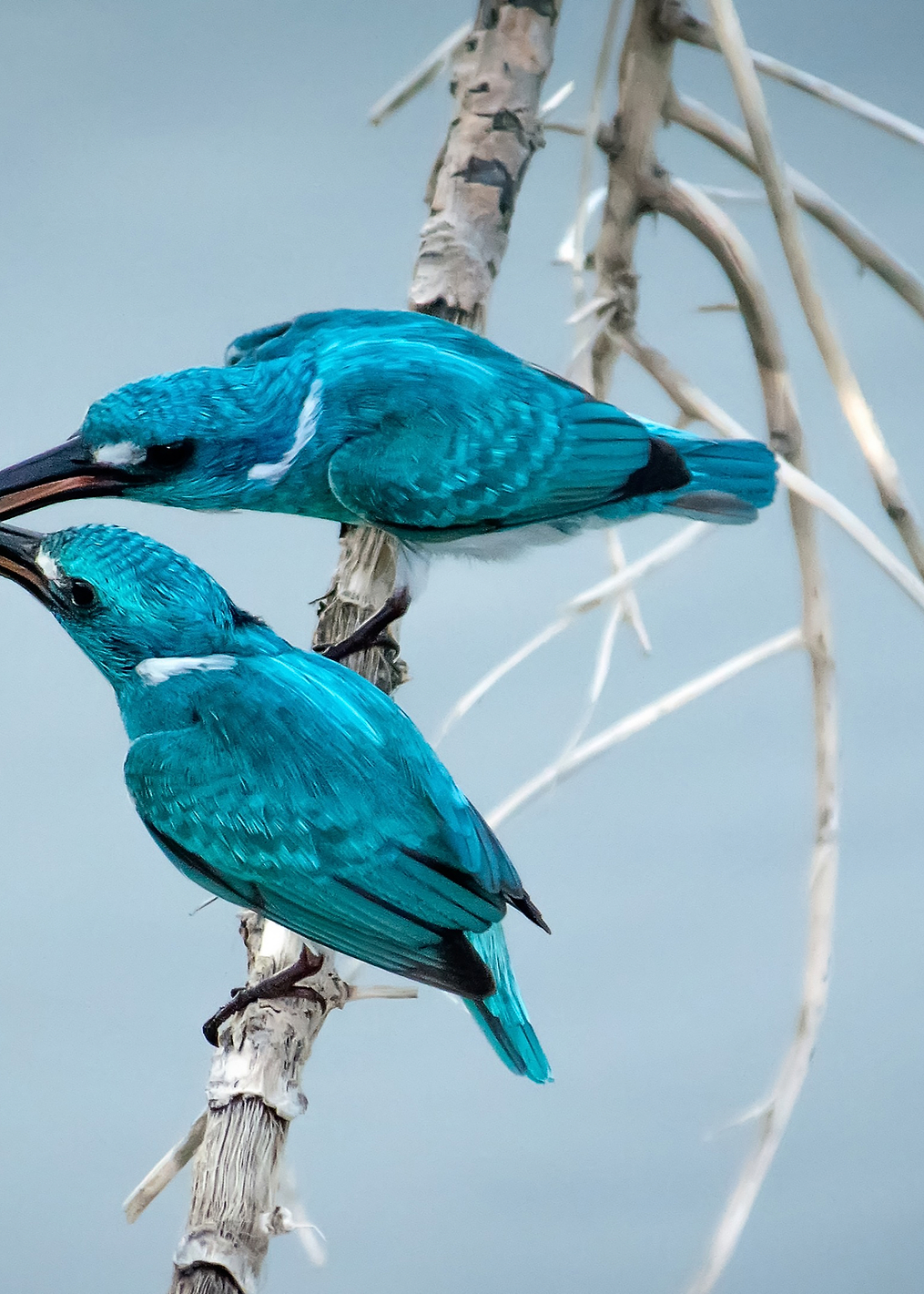 i love you so much: постер из коллекции World Class Photos
