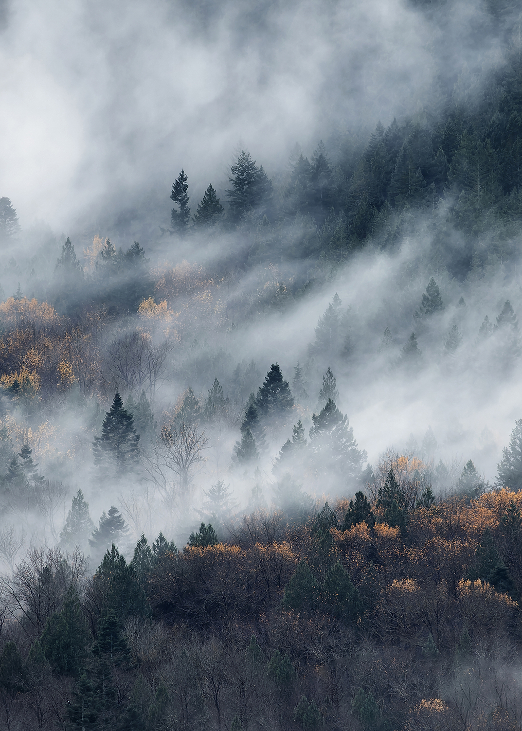 A path of the fog: постер из коллекции World Class Photos
