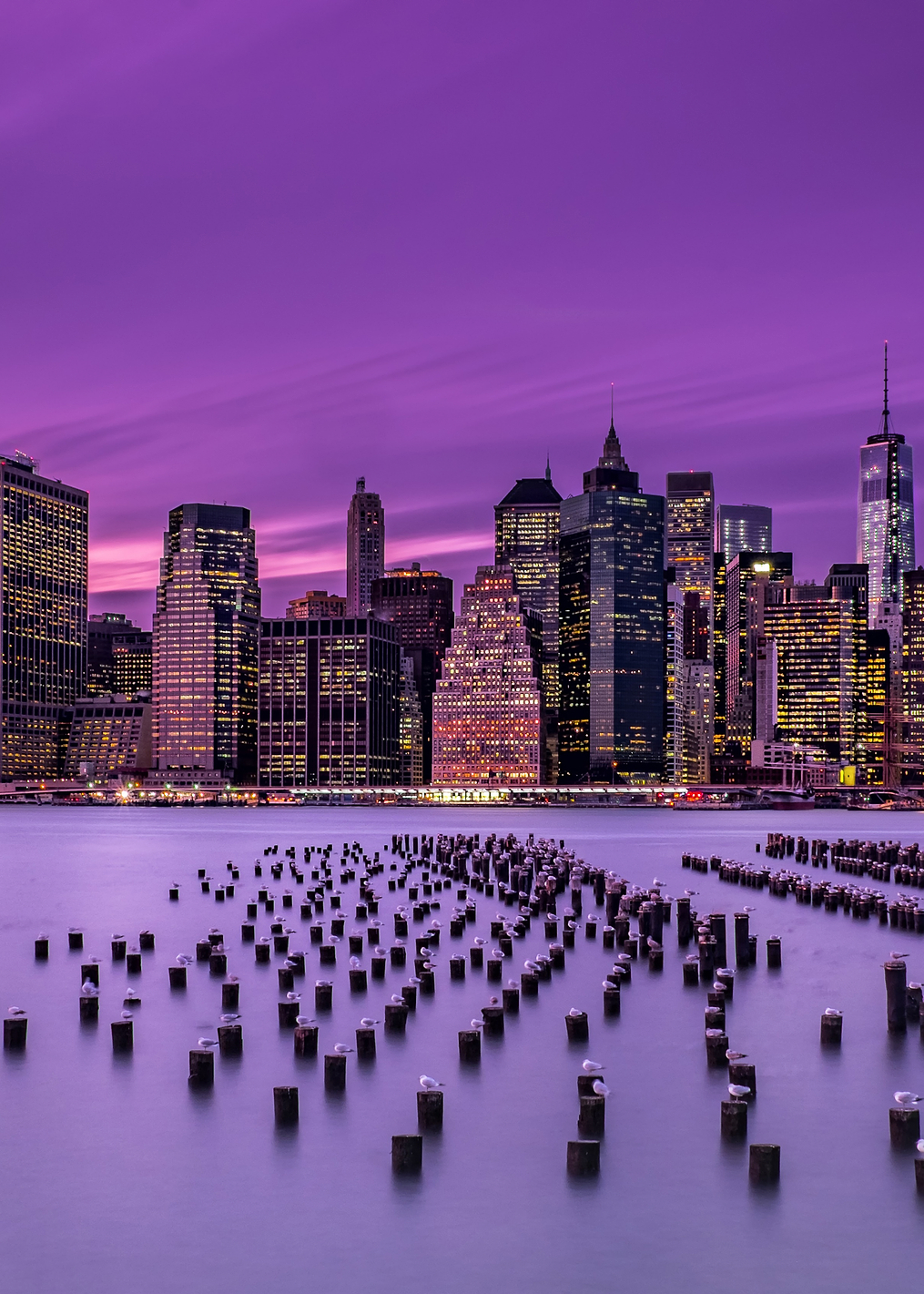 New York Violet Sunset: постер из коллекции World Class Photos
