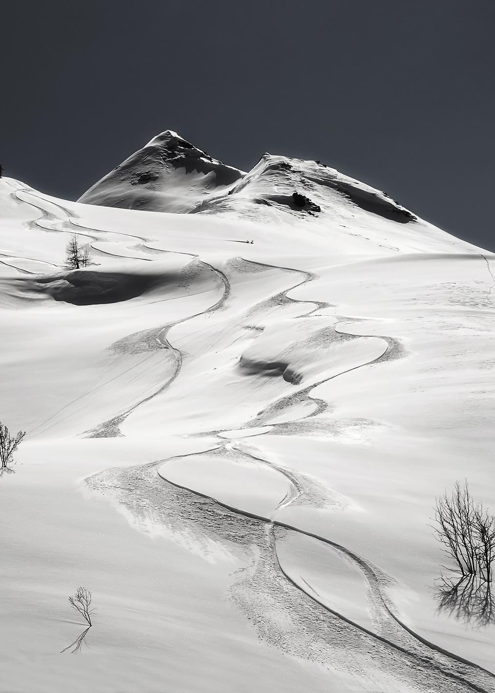 freeride: постер из коллекции World Class Photos