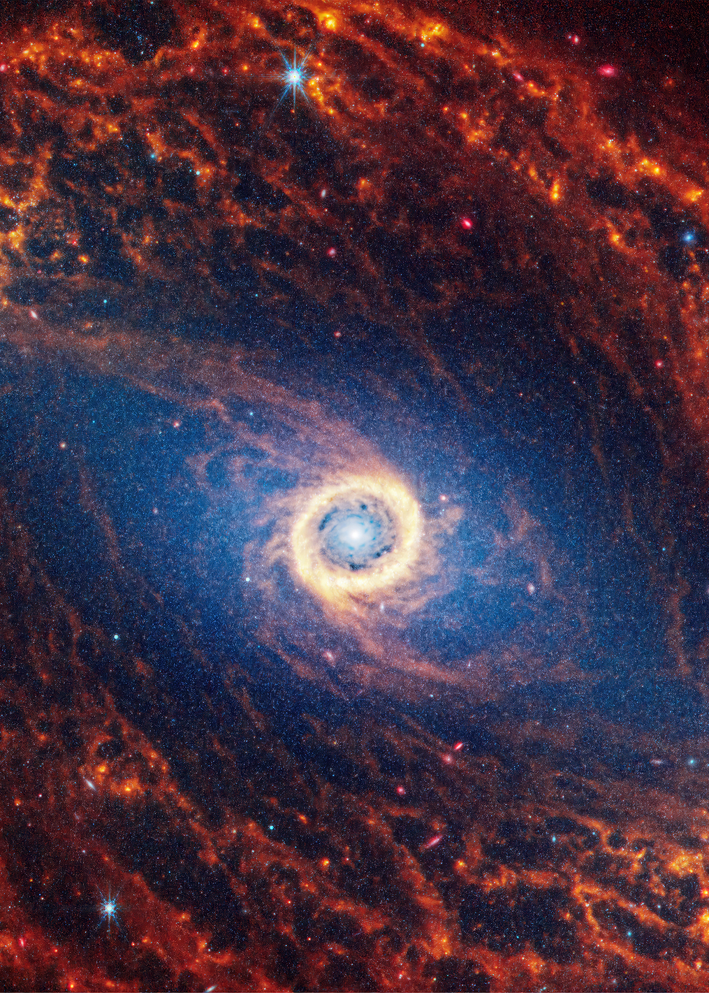 Spiral Galaxy NGC 1512: постер из коллекции Inspired by NASA