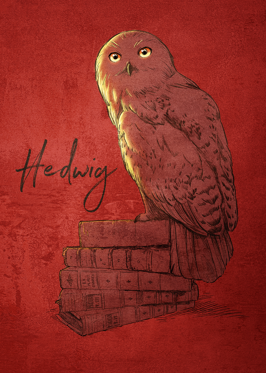 Hedwig: постер из коллекции Wizarding World