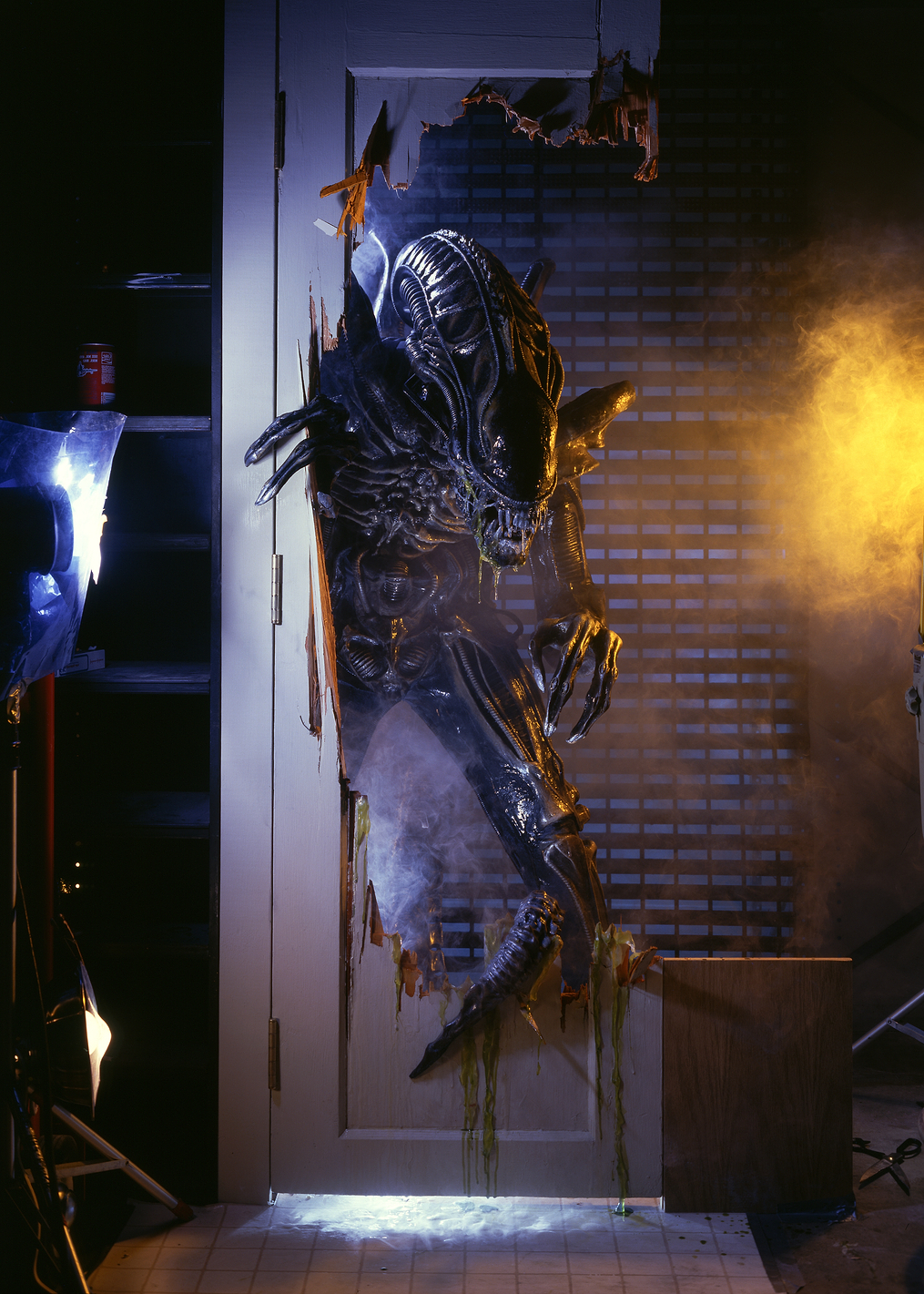 Aliens Xenomorph Closet: постер из коллекции Alien