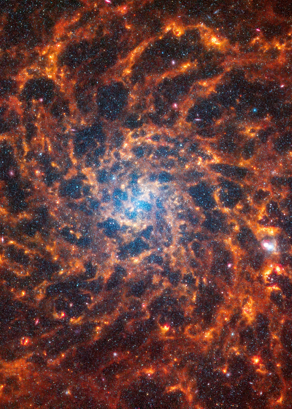 Orange Fractals: постер из коллекции Inspired by NASA