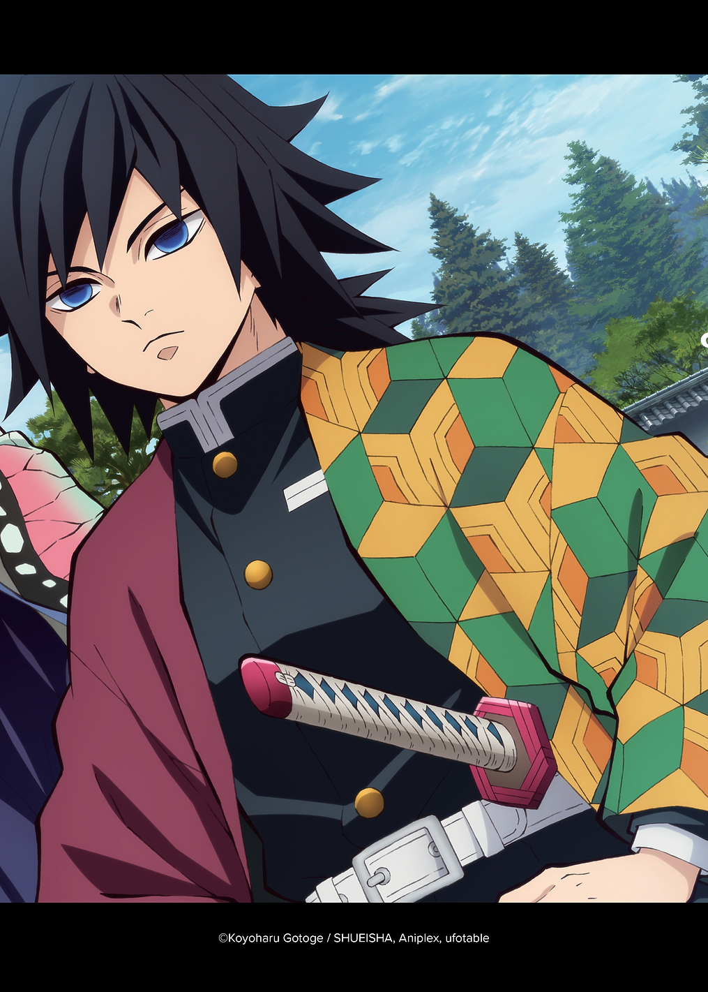 Tomioka Giyū: постер из коллекции Demon Slayer