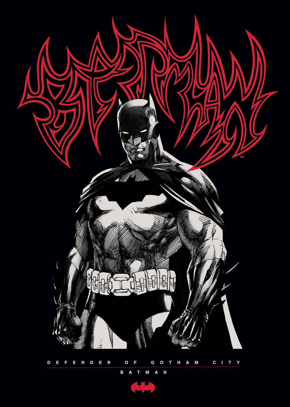 Gotham's Dark Knight Rises: постер из коллекции DC Comics