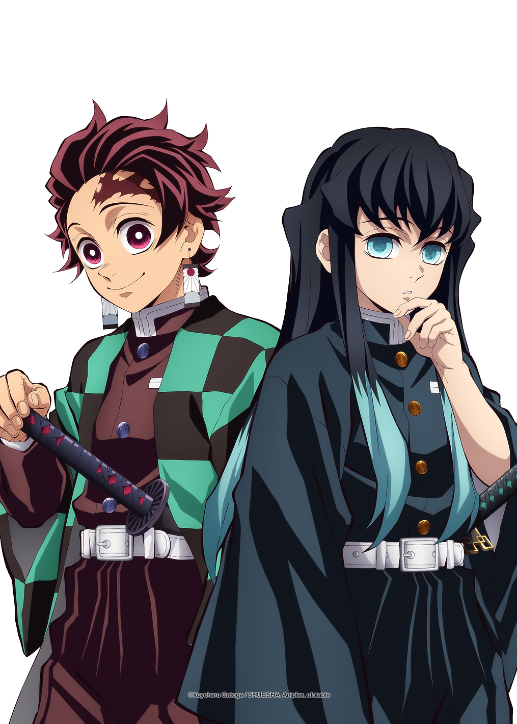 Demon Slayer: The Mist and the Sun: постер из коллекции Demon Slayer