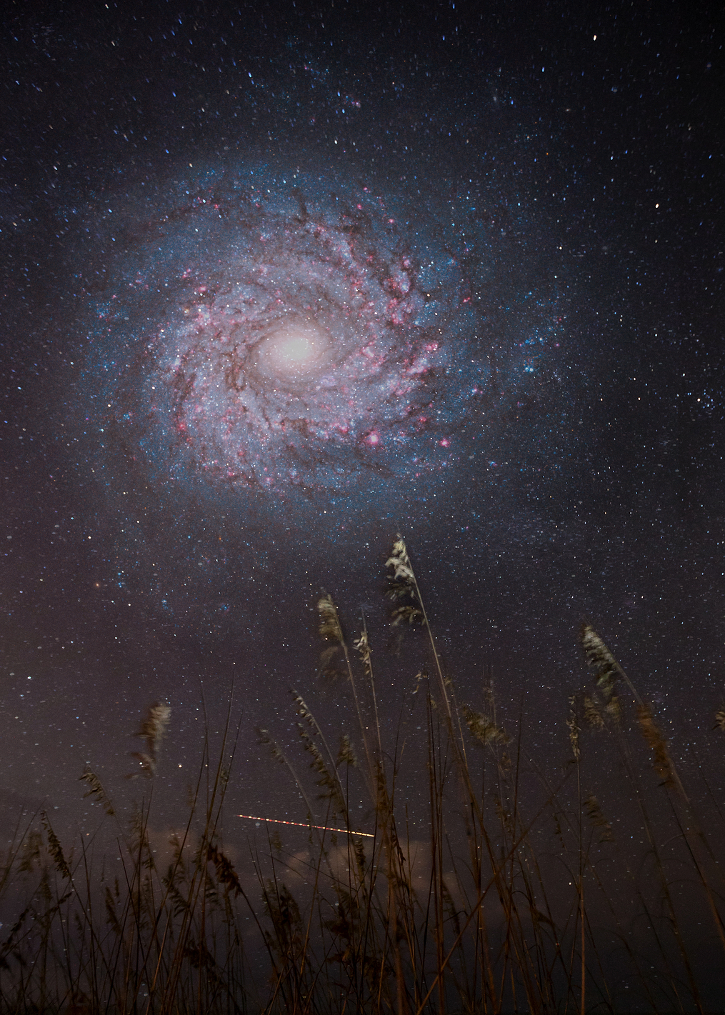 Cosmic Embrace: Galaxy Over Reeds: постер из коллекции Inspired by NASA