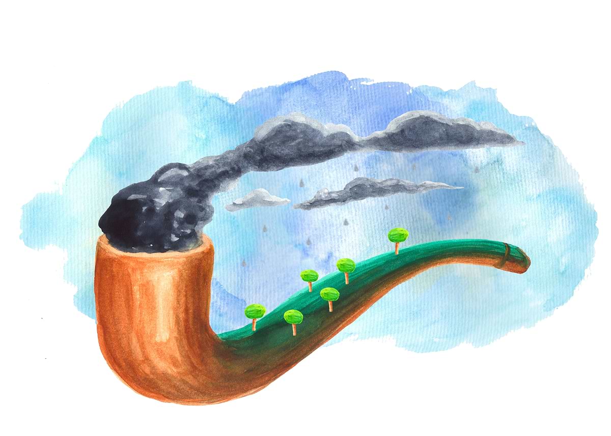 c'est la vie pipe tobacco c'est la vie Ceci Est Une Pipe ' Poster, picture, metal print, paint by  gunberk gulderen