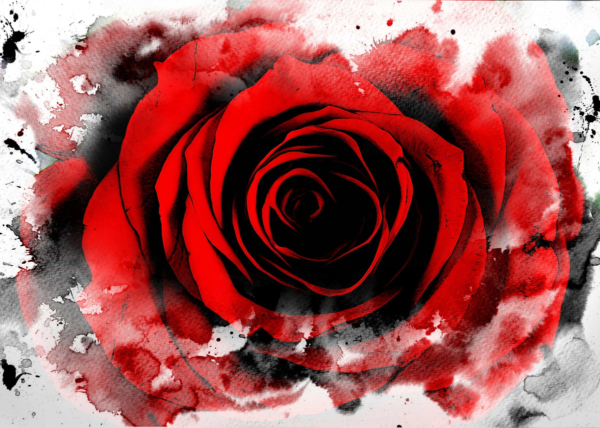 'A mixed media art and photography piece of a single red ... ' Poster ...