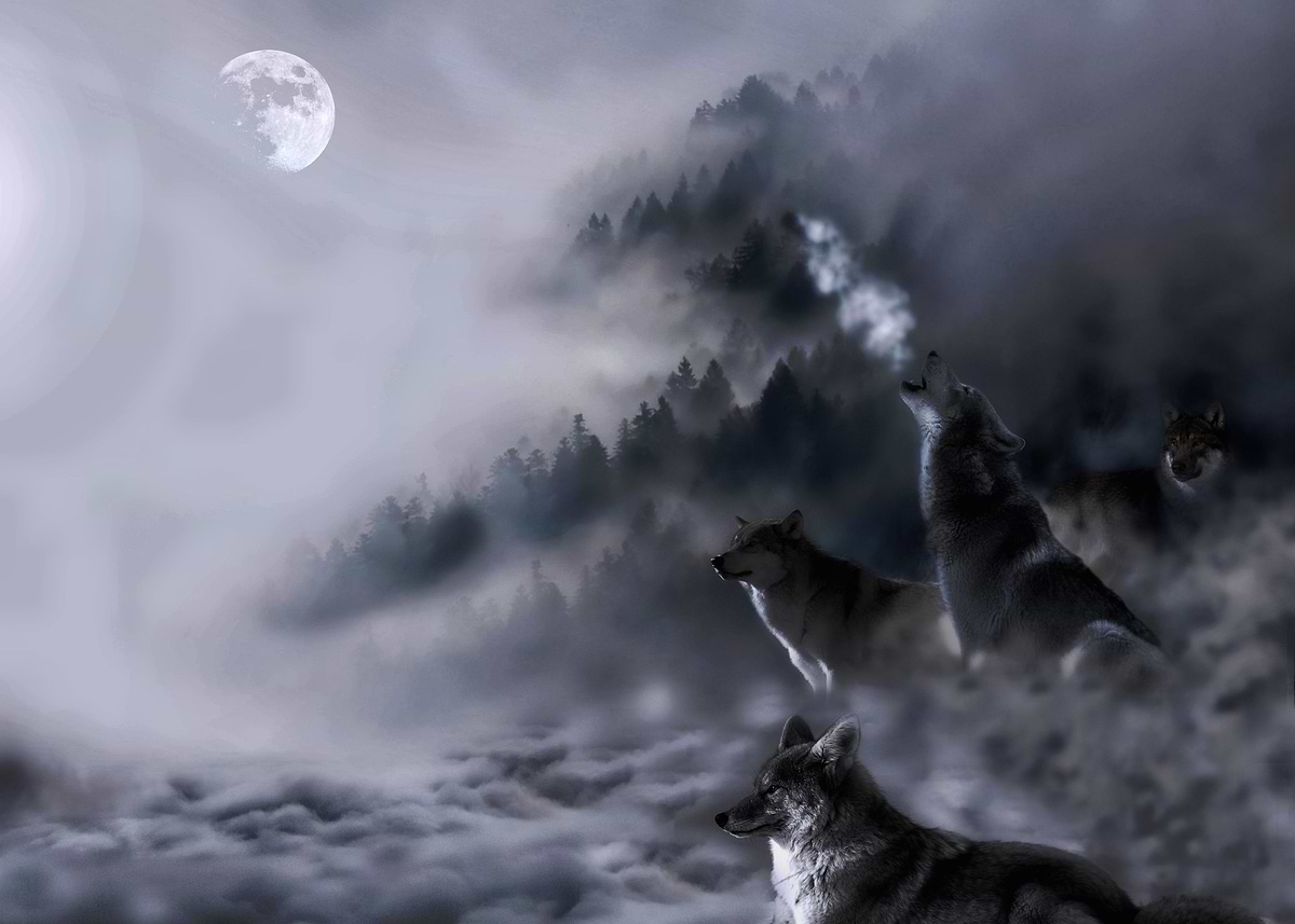 'A stunning image digital art of 4 wolves on a mountains ... ' Poster ...