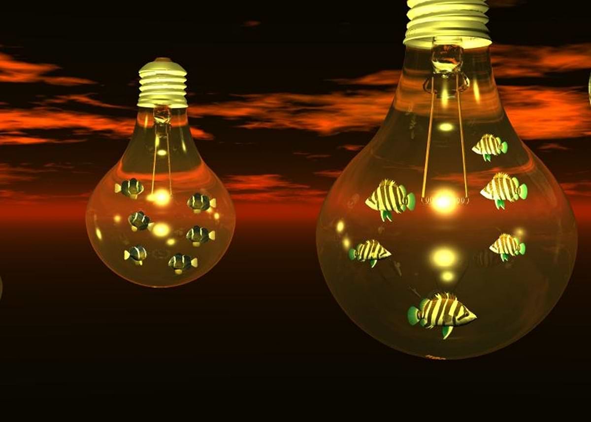 Fish In Bulb 'Fish in Light bulb ' Poster, picture, metal print, paint by Guillermo ...