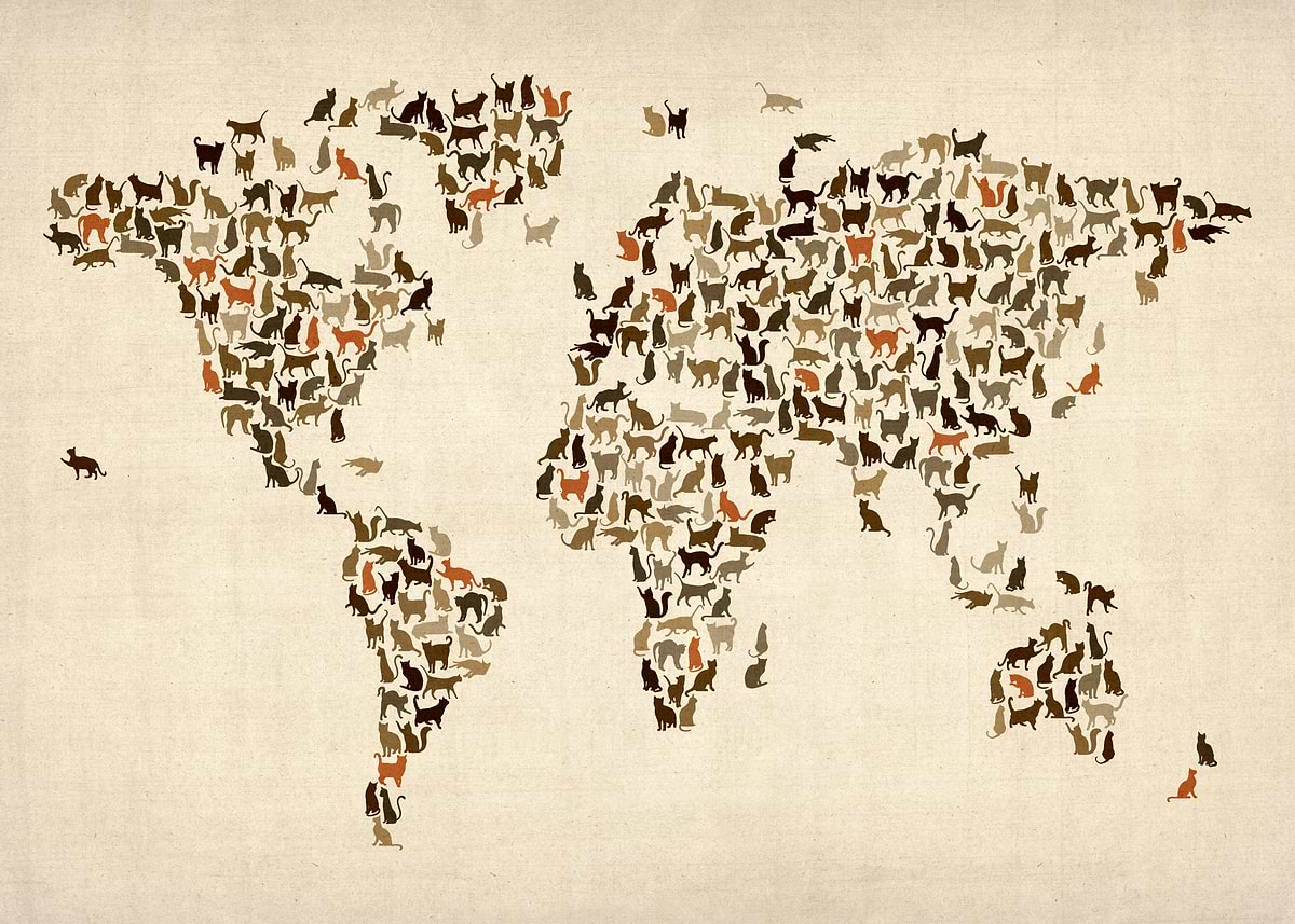 'Cats Map of the World Map' Poster, picture, metal print, paint by ...