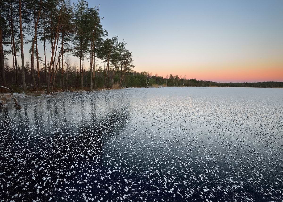 'Frozen Lake Winter Sunrise' Poster, picture, metal print, paint by