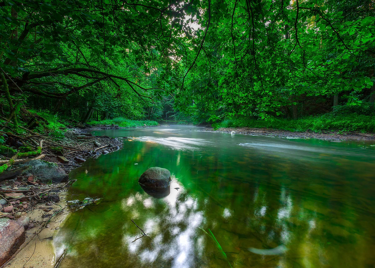 'Beautiful Wild River In Su' Poster, picture, metal print, paint by ...