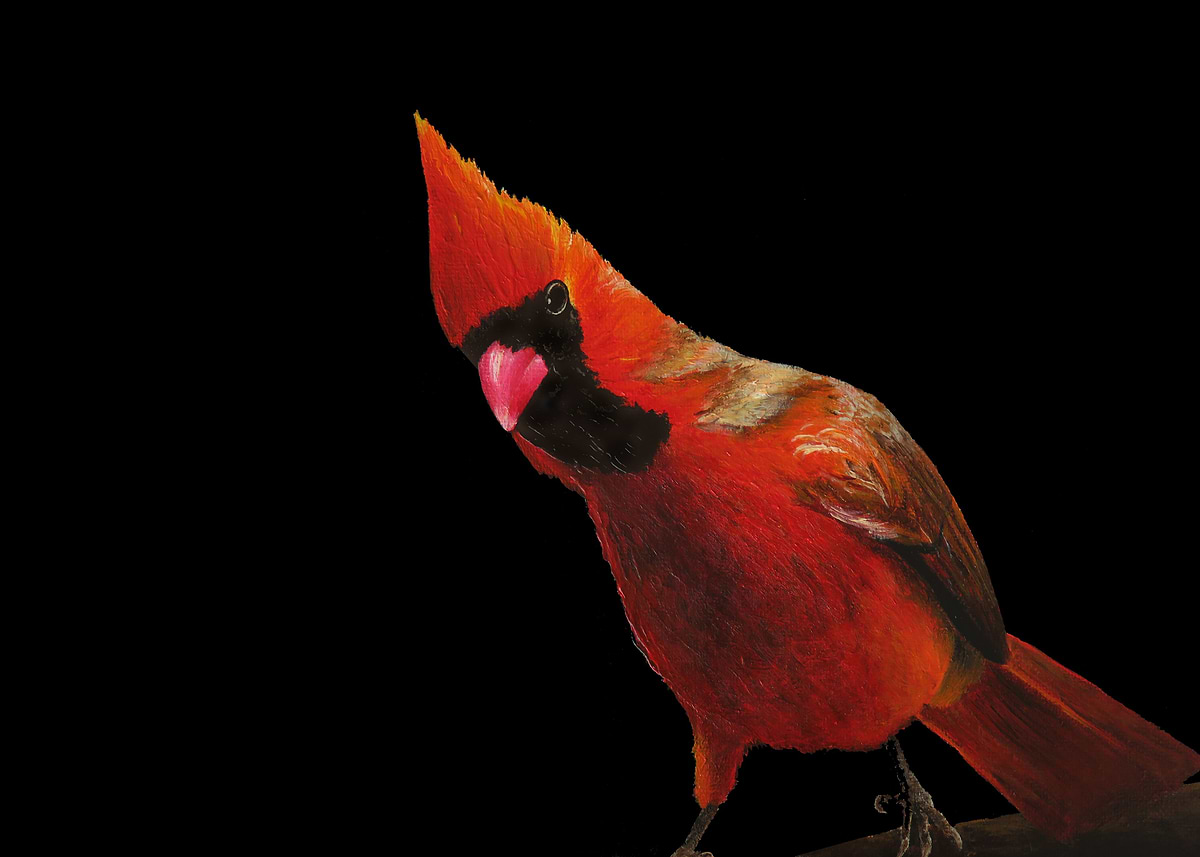'Cardinal 2 ' Poster, picture, metal print, paint by Glyphe | Displate