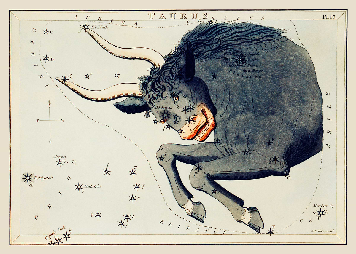 Fred Rutherford Taurus 'Taurus' Poster, picture, metal print, paint by tony4urban | Displate
