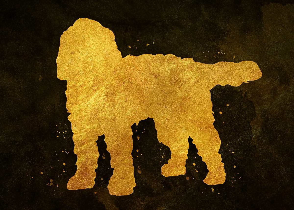 'Cockapoo dog' Poster, picture, metal print, paint by Mikazuki | Displate