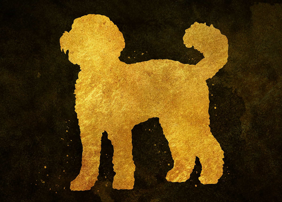 'Labradoodle dog' Poster, picture, metal print, paint by Mikazuki ...